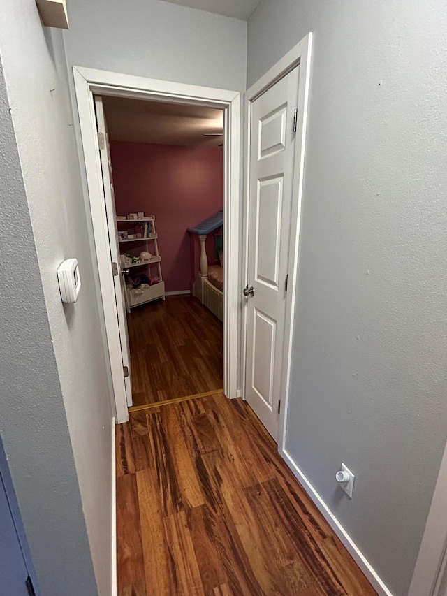 corridor with dark hardwood / wood-style flooring