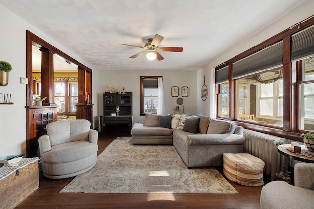 living area featuring dark wood-style floors, a ceiling fan, and radiator