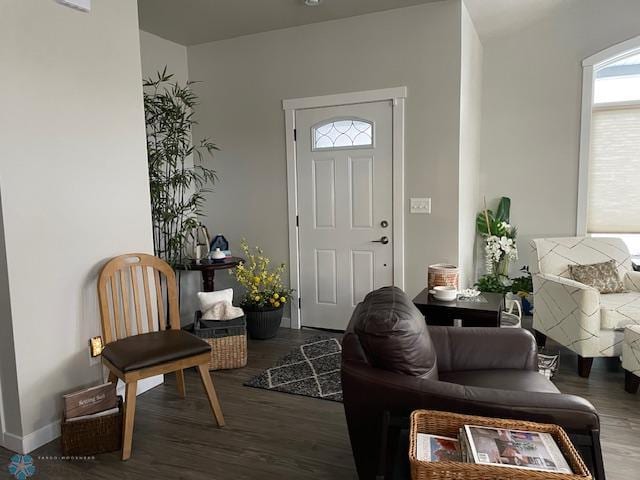 foyer with dark hardwood / wood-style flooring