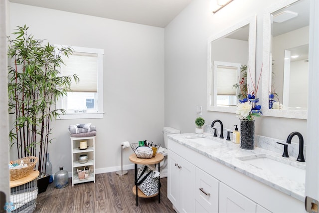 bathroom featuring wood-type flooring and vanity