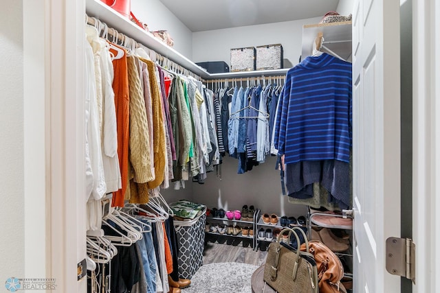 view of spacious closet