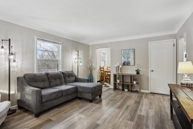 living room featuring wood-type flooring and a textured ceiling