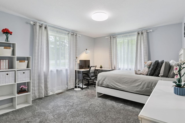 1524 Mulberry St, Taylors Falls, MN 55084 - bedroom with multiple windows, carpet, and a desk