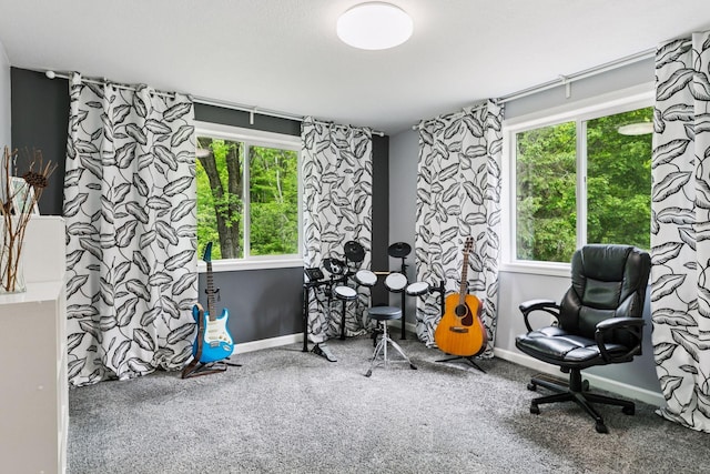 1524 Mulberry St, Taylors Falls, MN 55084 - recreation room with carpet flooring, plenty of natural light, and baseboards
