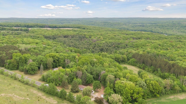 1524 Mulberry St, Taylors Falls, MN 55084 - bird's eye view of a heavily wooded area
