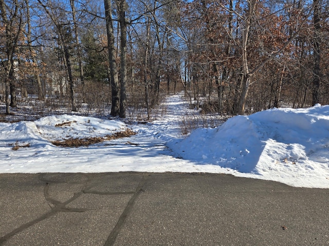 view of yard covered in snow