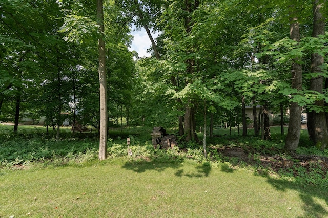view of grassy yard