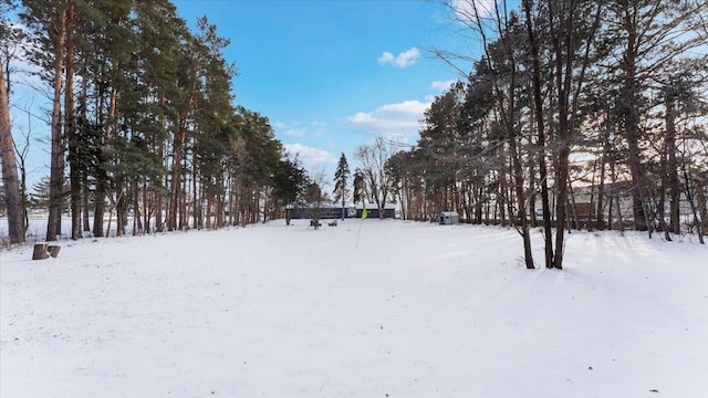 view of yard covered in snow