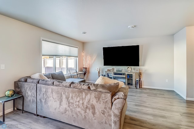 living room featuring a fireplace and light wood-type flooring