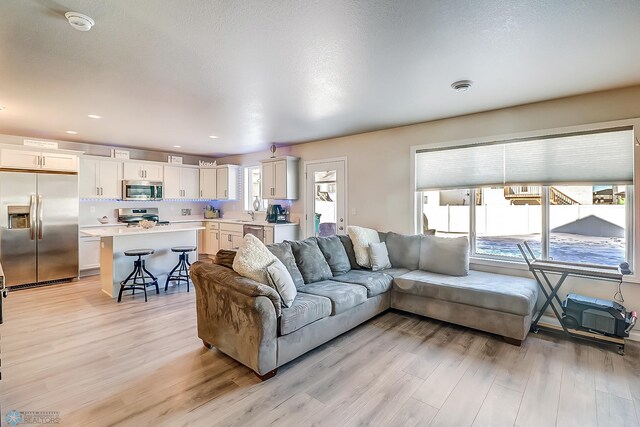 living room featuring light hardwood / wood-style floors