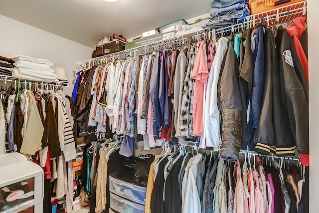 view of walk in closet