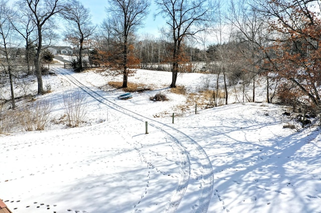 view of yard covered in snow