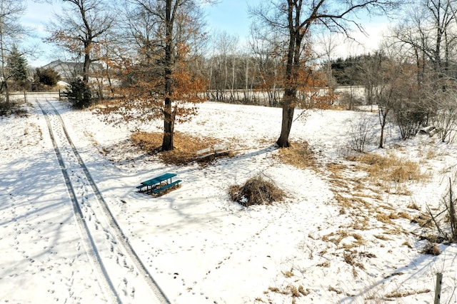 view of yard layered in snow