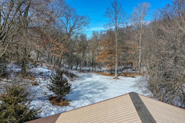 view of yard covered in snow