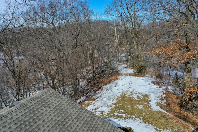 view of snowy landscape