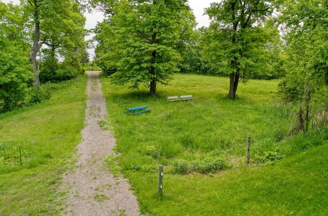 10740 230th St N, Scandia, MN 55073 - view of yard