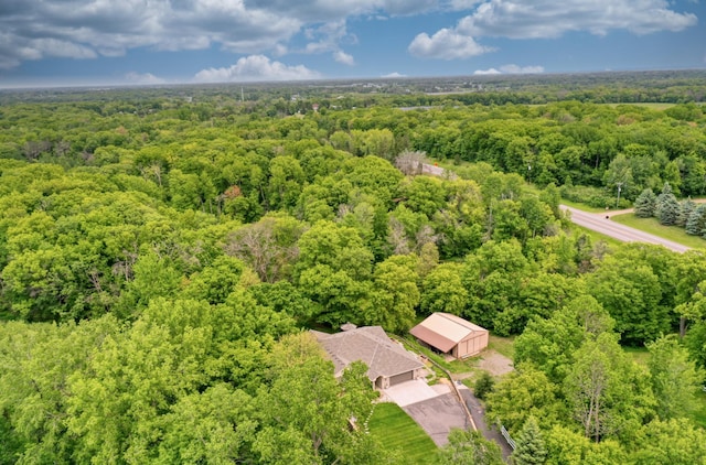10740 230th St N, Scandia, MN 55073 - bird's eye view of a forest