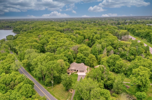 10740 230th St N, Scandia, MN 55073 - aerial view of a forest and a nearby body of water