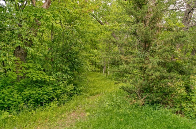 10740 230th St N, Scandia, MN 55073 - view of woods