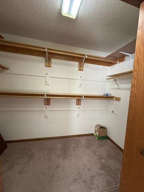 spacious closet featuring carpet floors