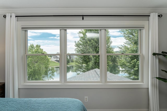3942 Autumn Lake Ct SW, Rochester, MN 55902 - bedroom with a water view and ornamental molding