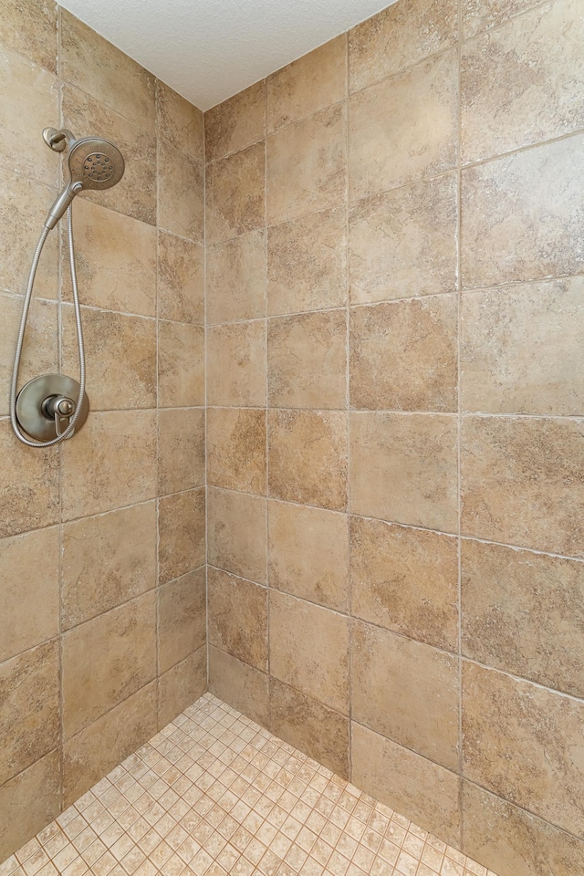 3942 Autumn Lake Ct SW, Rochester, MN 55902 - bathroom with a tile shower