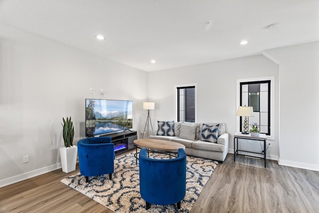 living room with wood-type flooring