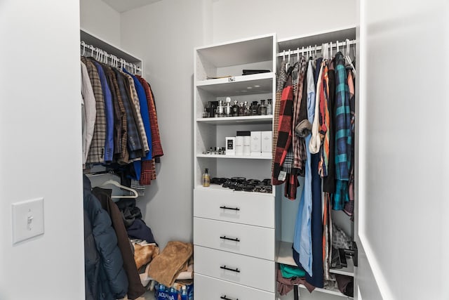 view of walk in closet