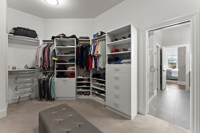 walk in closet with carpet