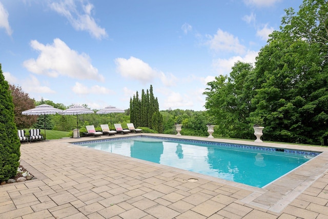 view of pool featuring a patio