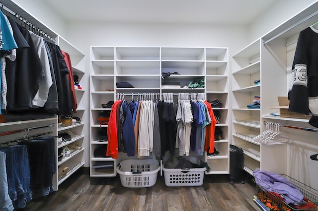 walk in closet with dark wood-type flooring