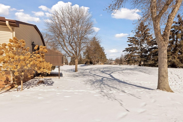 view of yard covered in snow