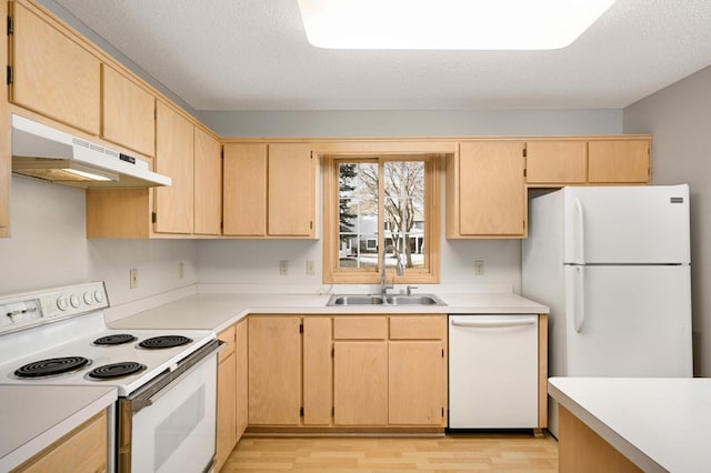 kitchen with white appliances, light countertops, under cabinet range hood, light brown cabinets, and a sink