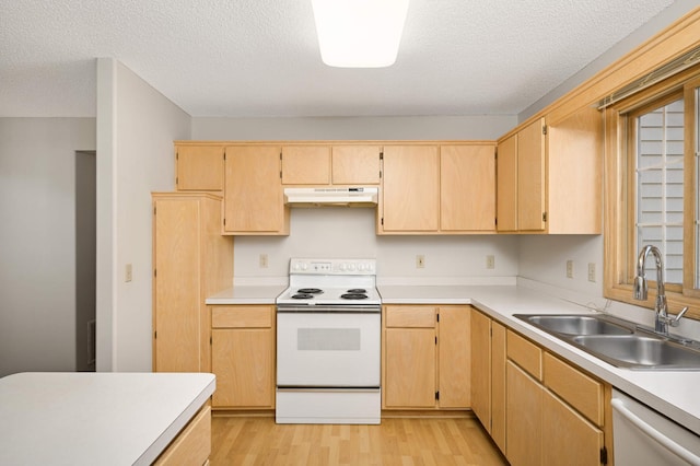 kitchen with under cabinet range hood, a sink, light countertops, stainless steel dishwasher, and white range with electric stovetop