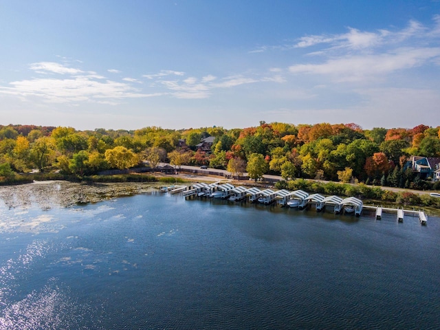 water view featuring a wooded view