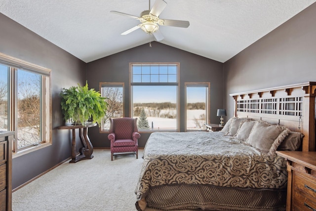 bedroom featuring carpet, vaulted ceiling, a textured ceiling, and baseboards