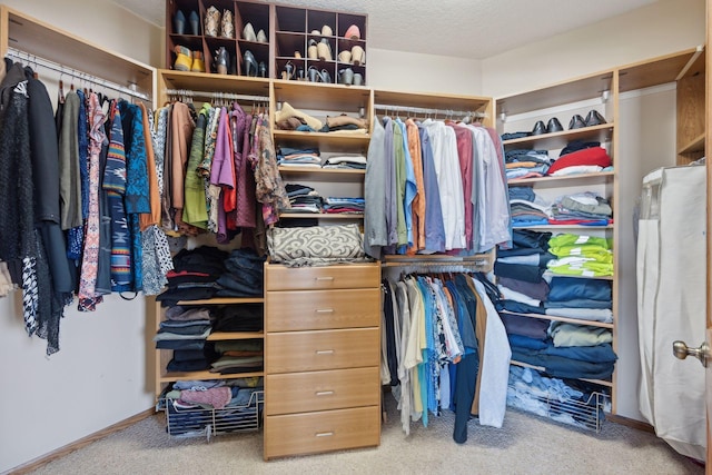 walk in closet featuring carpet floors