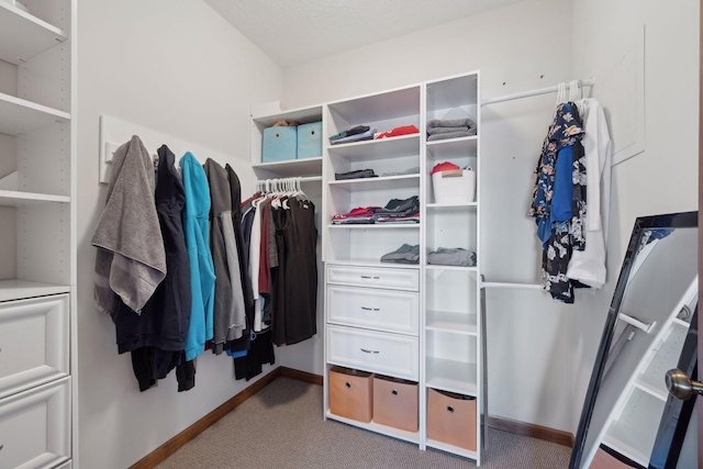 spacious closet featuring carpet flooring