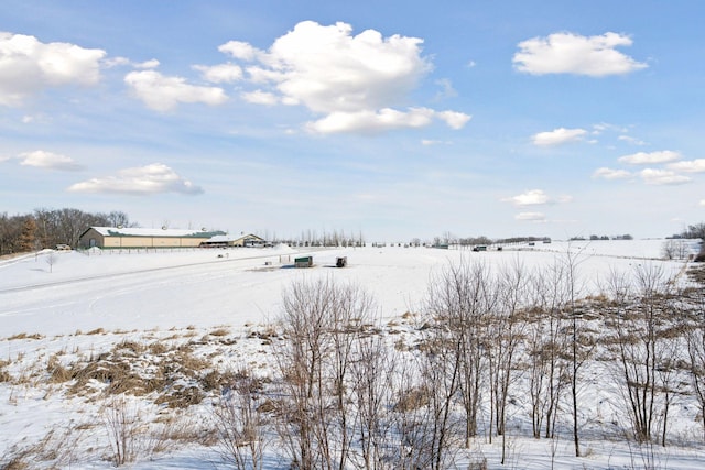 view of yard covered in snow