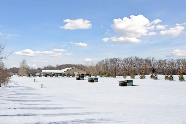 view of yard layered in snow