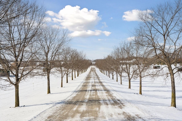 view of home's community featuring dirt driveway