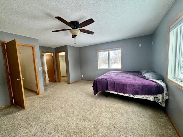 carpeted bedroom featuring ceiling fan, a closet, a textured ceiling, and a walk in closet