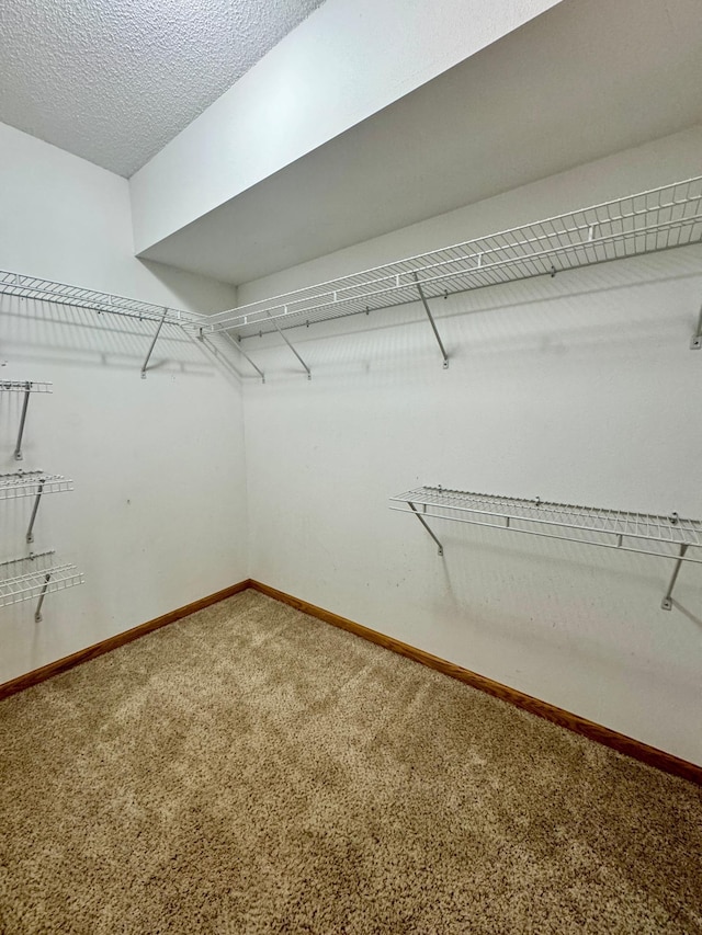 walk in closet featuring carpet