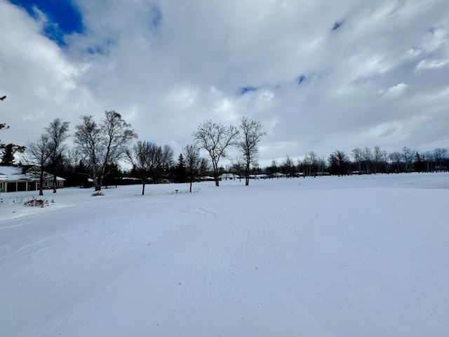 view of yard covered in snow