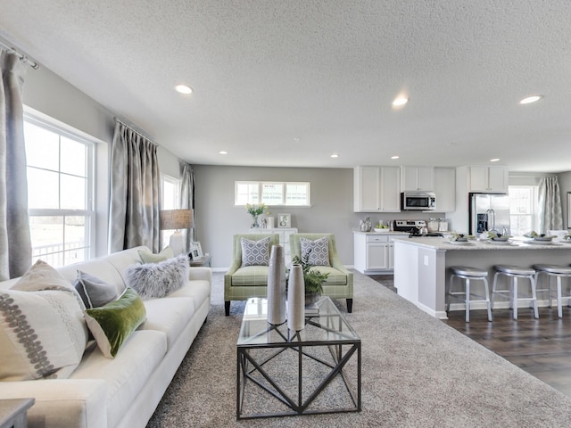 living room featuring a healthy amount of sunlight, dark hardwood / wood-style flooring, and a textured ceiling