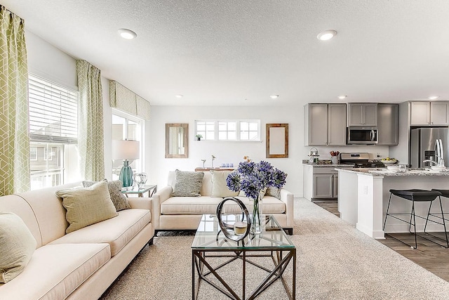 living room with hardwood / wood-style flooring and a textured ceiling