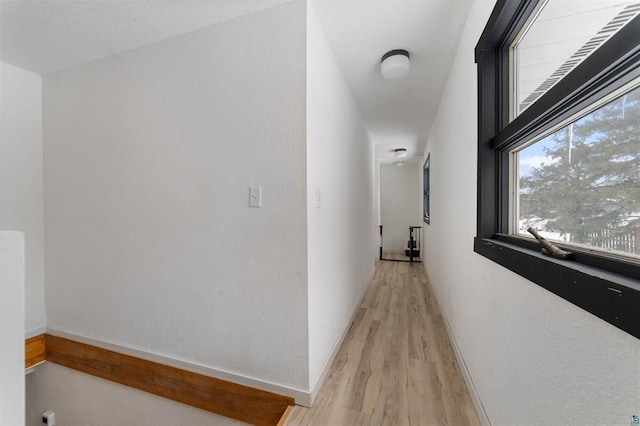 hall with light hardwood / wood-style flooring