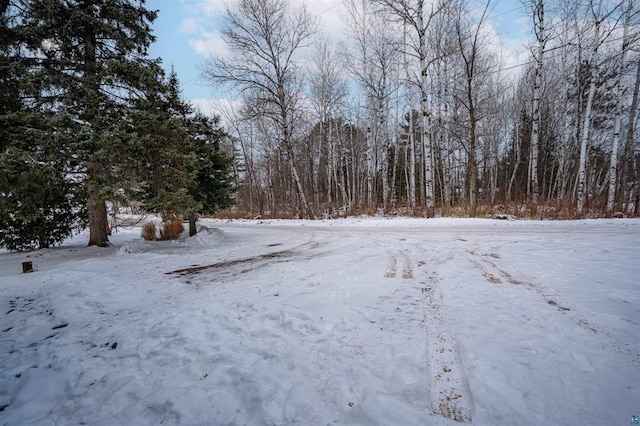 view of snowy yard