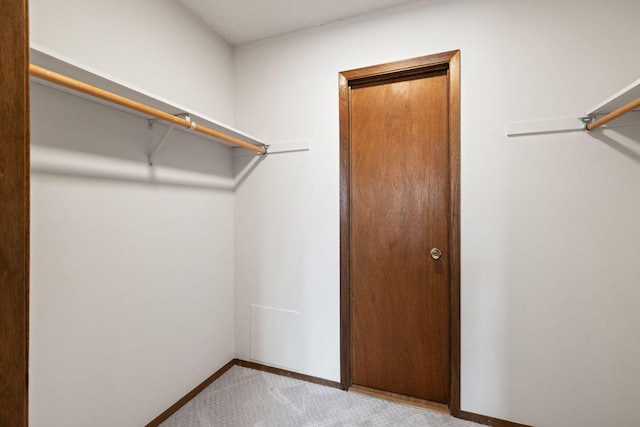 spacious closet featuring light colored carpet