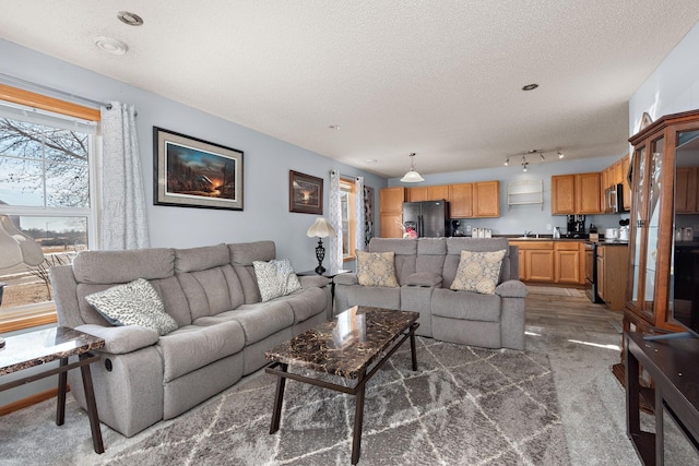 living room featuring track lighting, dark carpet, and a textured ceiling